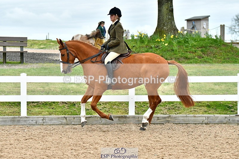 230416A-143115-05255 - Cls 74 Warmblood