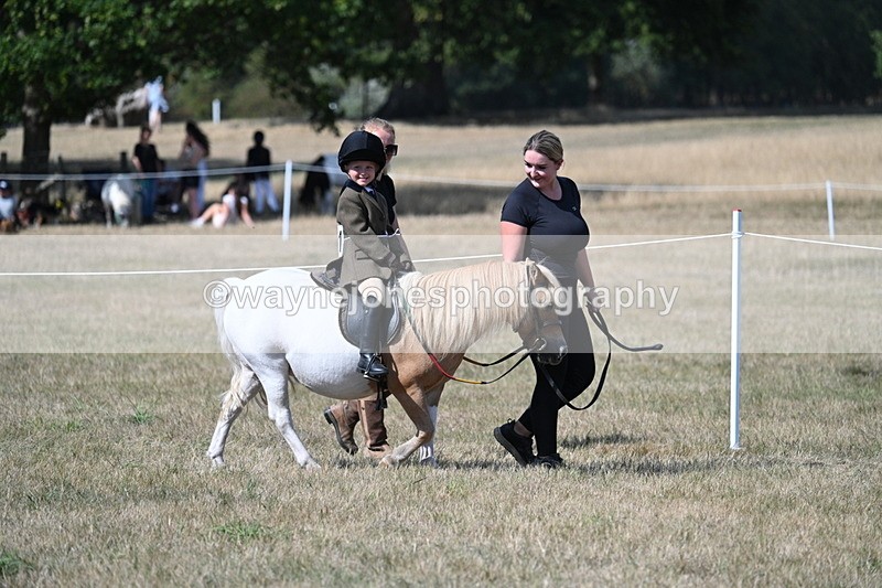WJ7_1219 - Class 41 Prettiest Mare