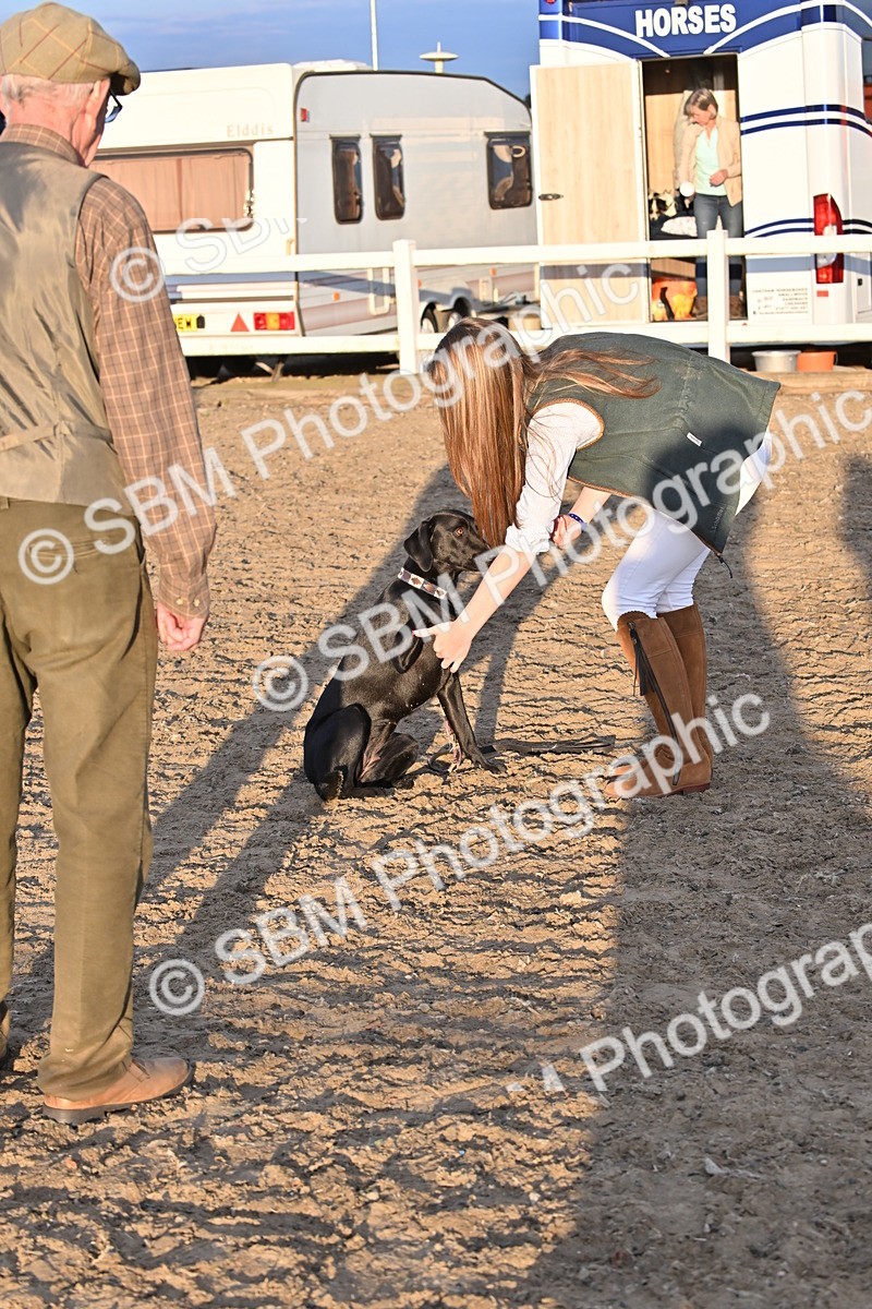SBM_09653 - Lorry Dogs