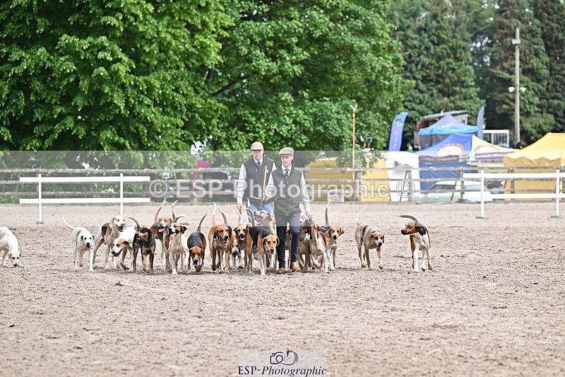 250524A-152201-12685 - East Devon Hounds
