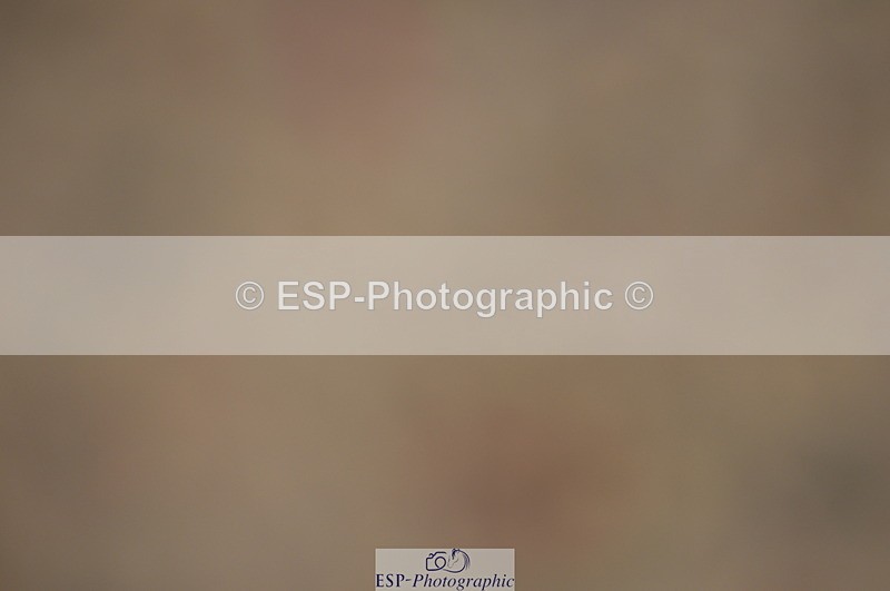 230916A-104650-03494 - Cls 21 British Novice & 90cm Open