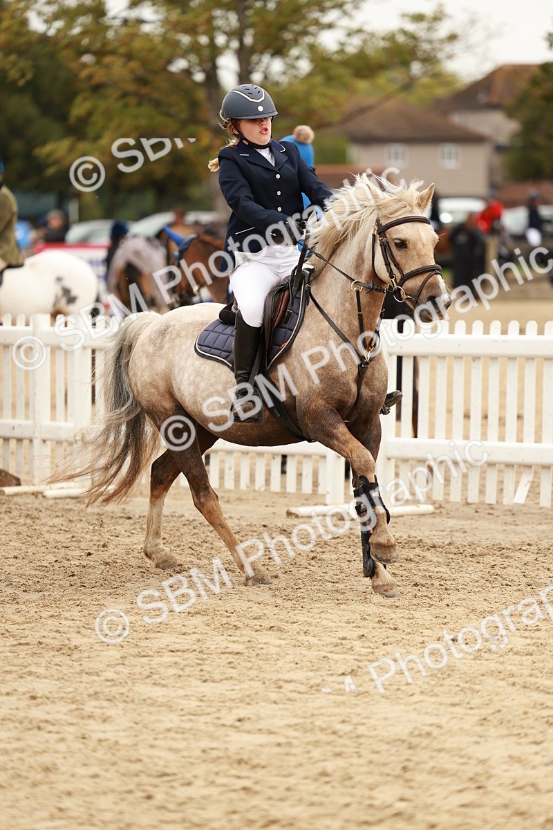 SBM_58013 - J11 - Junior Pony 50cm Championship