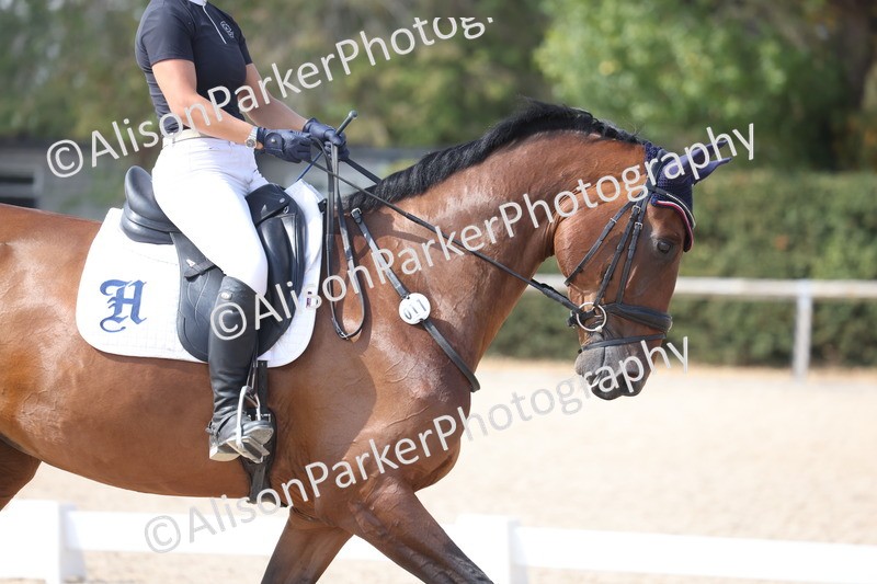 20260815-1098 - Class 6 - Novice 2