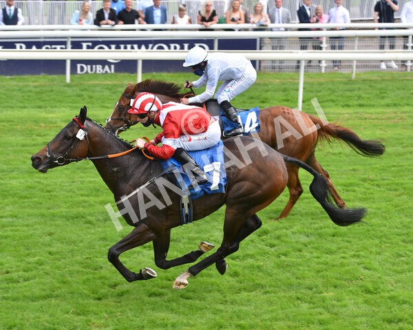 yr10072021r1-19 - Race 1: 1.45pm John Smith's Racing Stakes