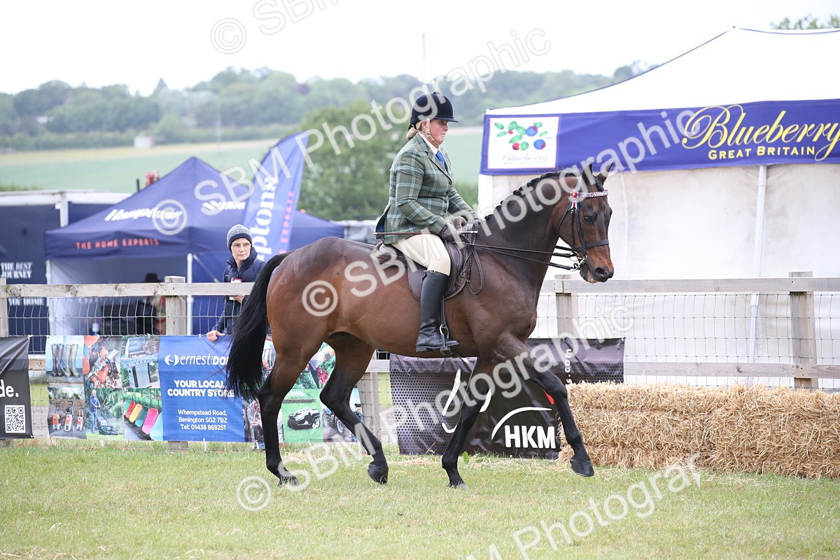 SBM_11387 - Class 94 - LIHS BSHA Racehorse to Showhorse