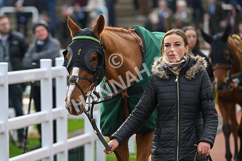 161124-Race 1-Paddock-Model Approach-9044 - Race 1