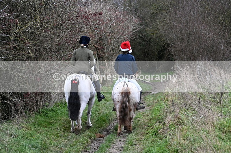 WJ7_0881 - First Seen