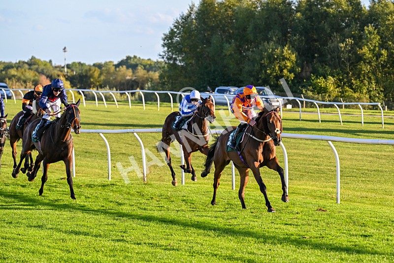 300926-Race 7-Prince Of Calypso-7055 - Race 7 5.25pm Amstel Gallop Handicap