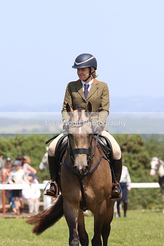 JPP_3110 - Class 22: Working Hunter 70cm