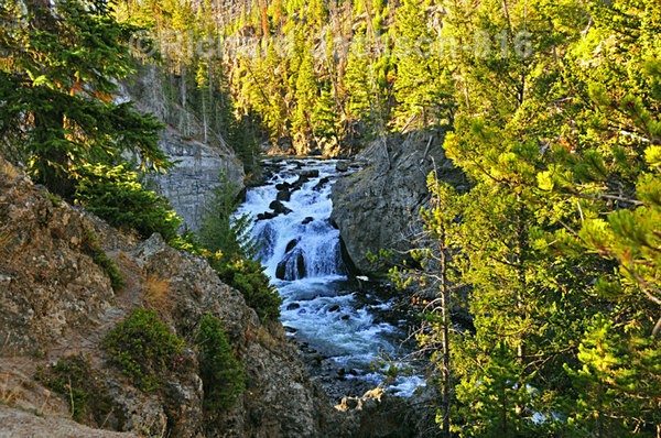 Lewis Falls - Yellowstone National Park