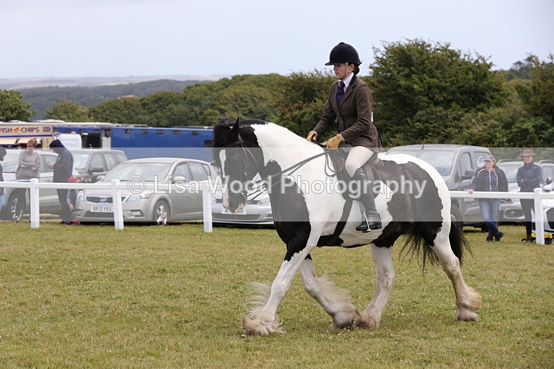 1X9A4510 - Class 34: Veteran Ridden