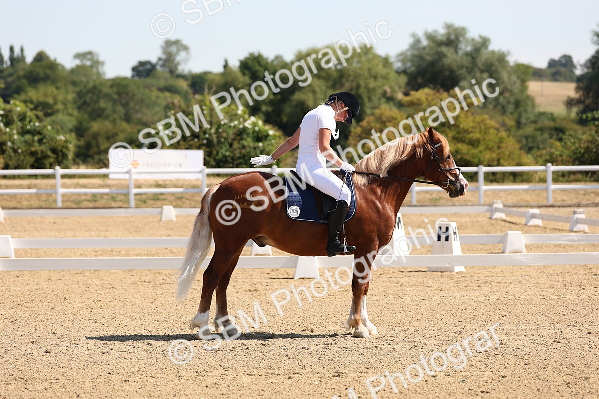 SBM_001088 - Intro 2