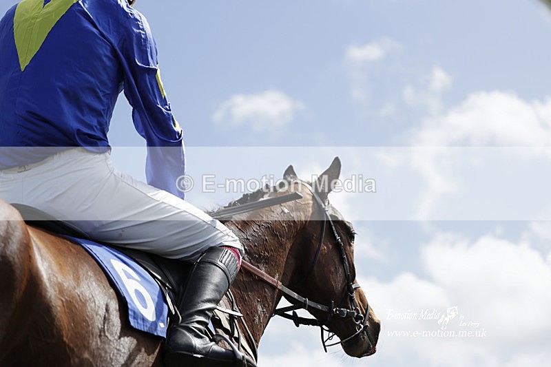 PtP 100423 525 - Old Berkshire Point-to-Point Lockinge 10/04/23