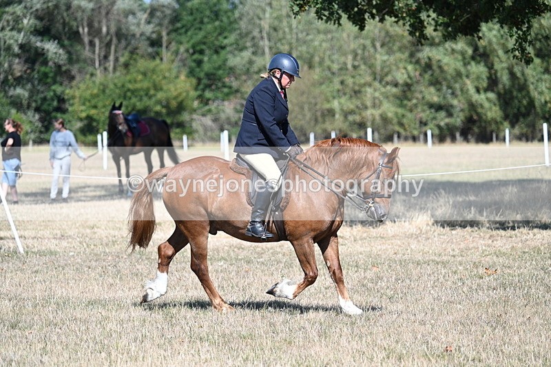 WJ7_3842 - Class 9 Mountain & Moorland Ridden