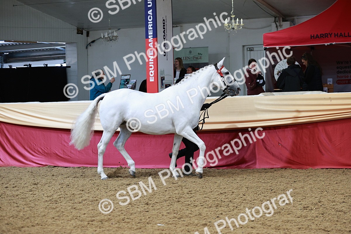 SBM_01388 - Class 3A - Area IH Pre-Vet