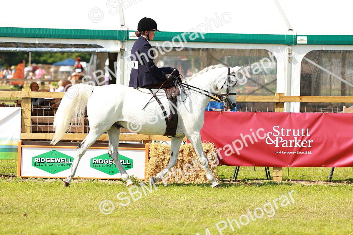 SBM_13128 - Class 70-71 - Side Saddle
