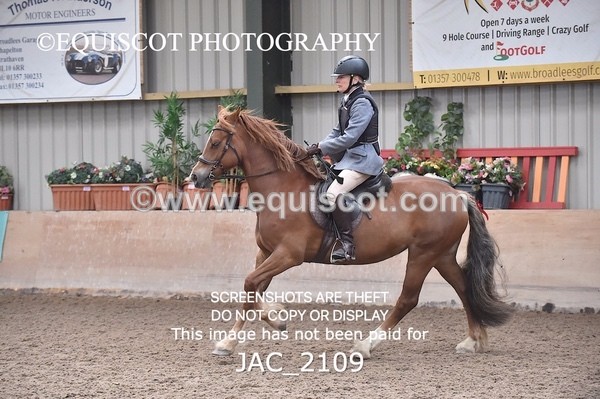 JAC_2109 - CLASS 1 Nursery Novice Working Hunter