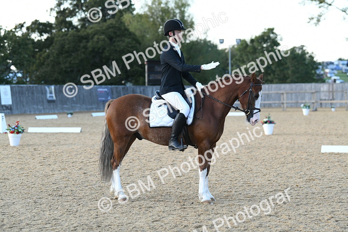 SBM_31012 - D16 - Small Tour Championship - Novice 28