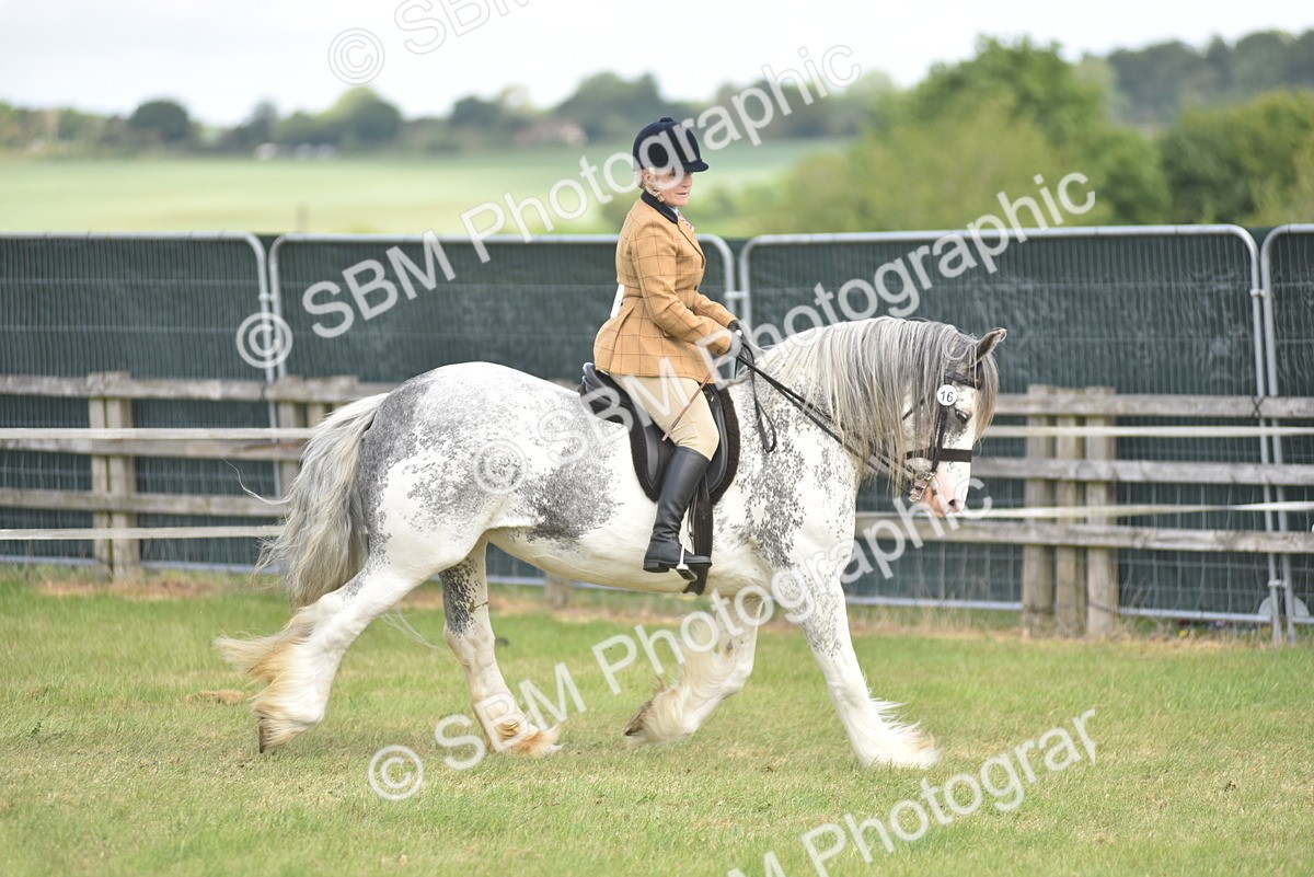 SBM_15884 - Class 117-122 - SSADL RIHS Qualifier