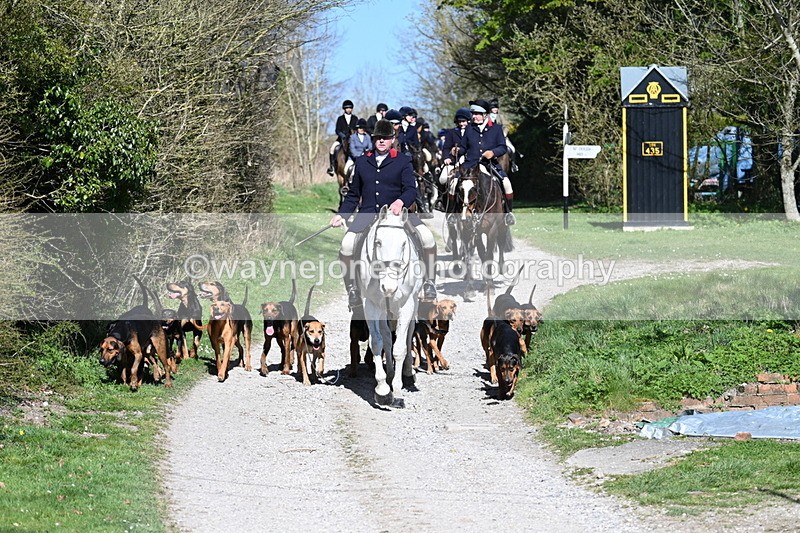 WJ7_9645 - Home for hunt tea !