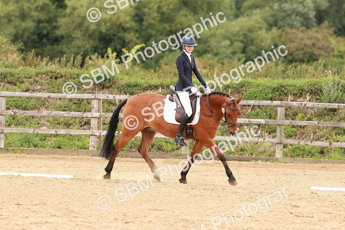 SBM_002653 - Novice 2