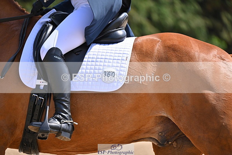 250523A-141354-07257 - B-360-Lucy.K.Wheeler-KING.CREOLE.VD.N.RANCH