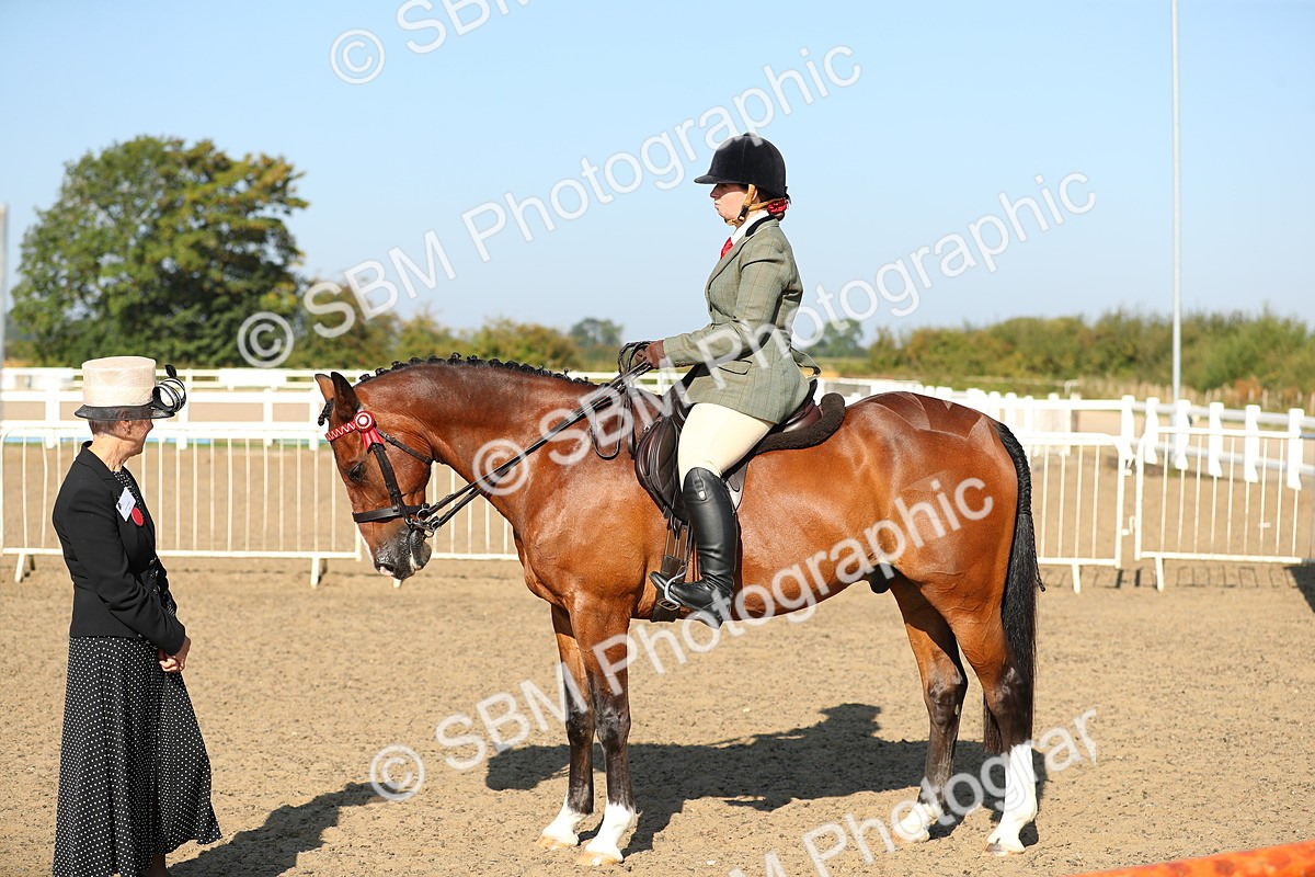 SBM_01209 - Class 42 Ridden Veteran