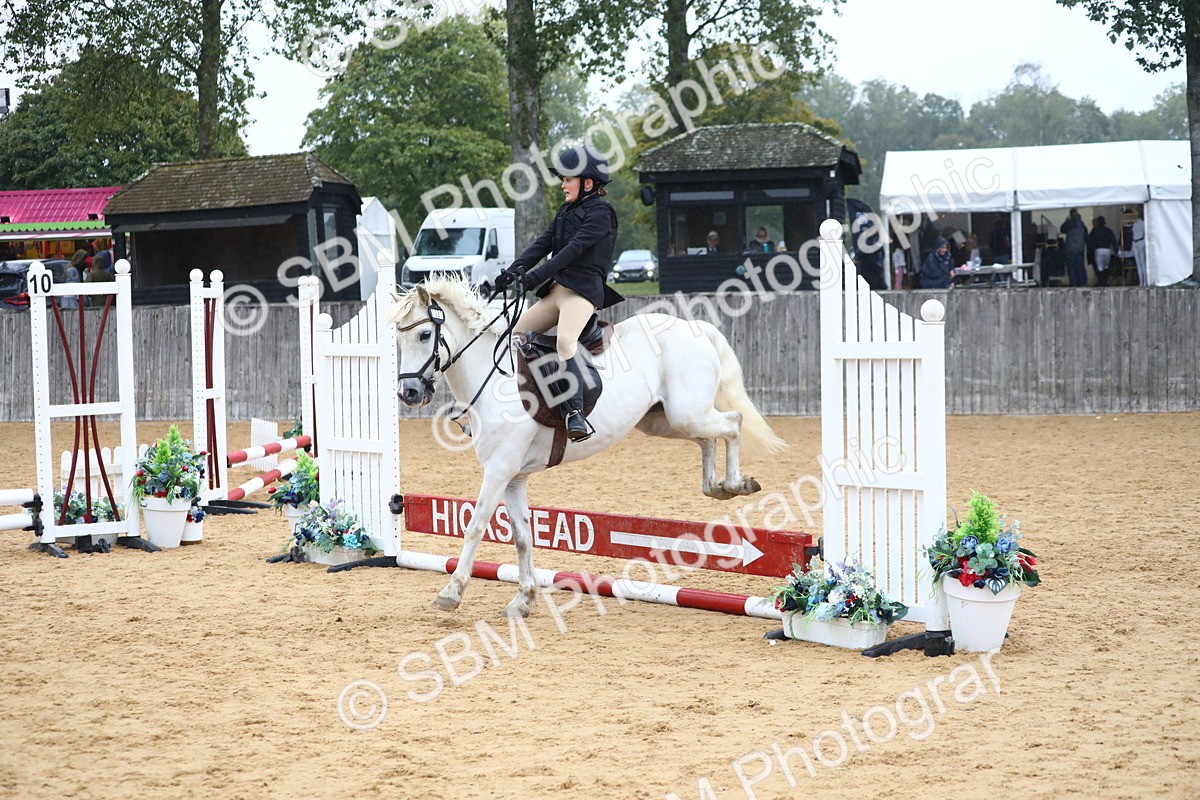 SBM_71684 - J4 - Mini Tour Junior Pony 45cm Championship