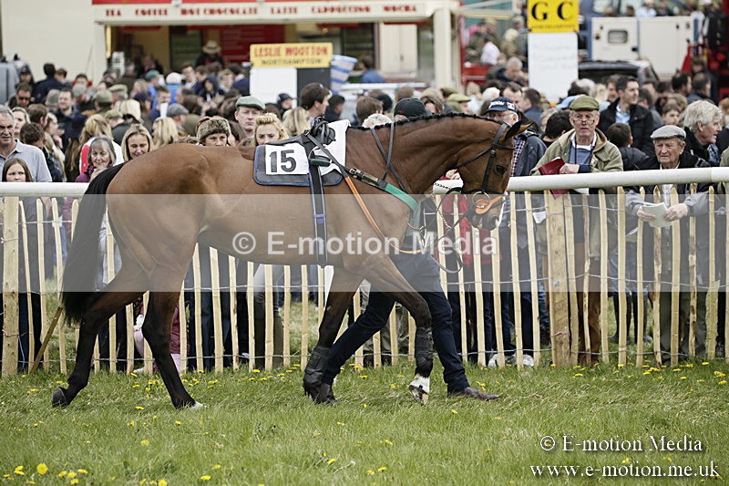 PtP 170417 128 - Old Berks Point-to-Point Lockinge 17/04/17