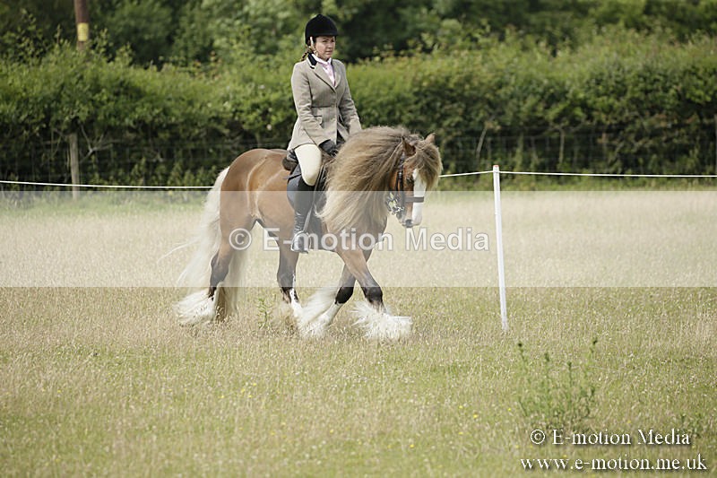 B230619-0425 - Bourne Valley Riding Club Summer Show 23/06/19
