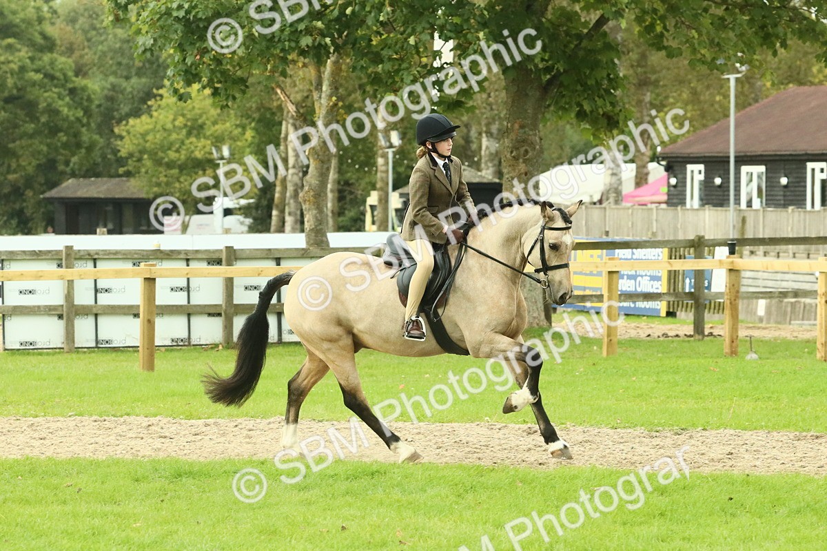 SBM_74019 - S 61 - Show Pony & Show Hunter Pony Ridden