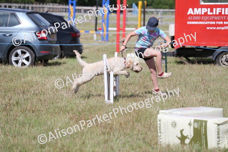 20260906-3424 - Class 34 - Dog Agility