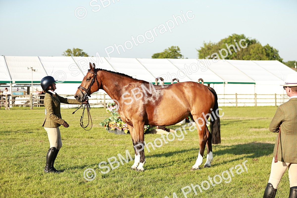SBM_20534 - Class 117-119 - Sport Horse Working Hunter
