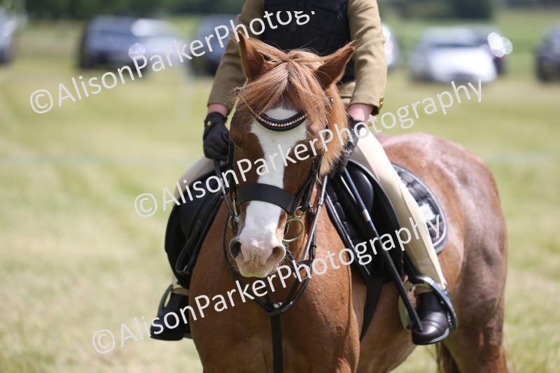 20260614-2022 - Class 21 - Novice Working Hunter Pony