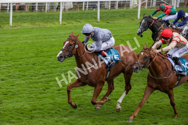 220824-Race 3-Thunder Run-7658 - Race 3 3.00pm Clipper Handicap