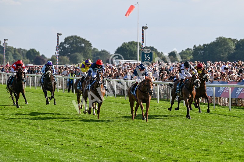 220826-Race 6-Sale Shark-1527 - Race 6 16.45pm Julia Graves Roses Stakes
