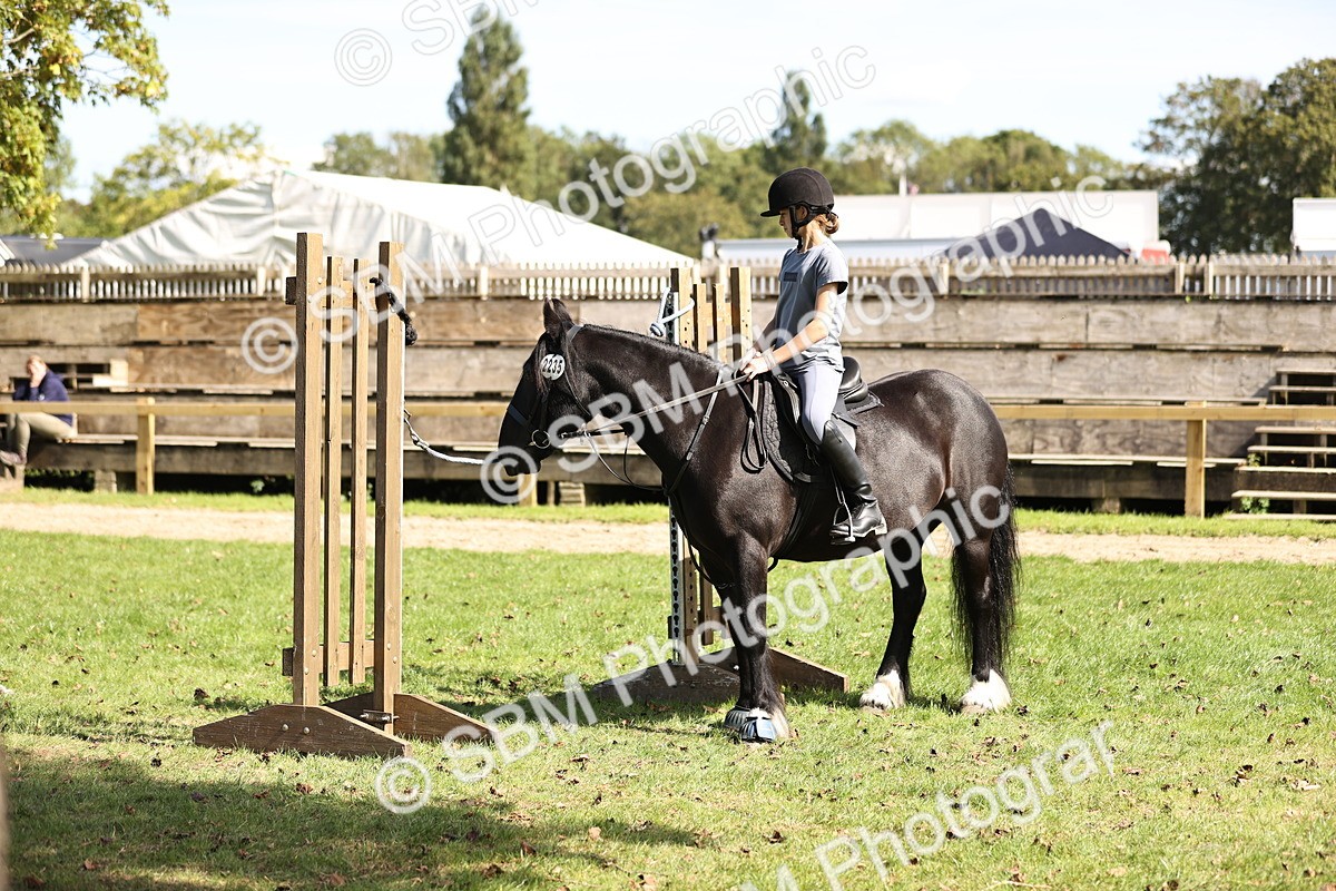 SBM_22991 - S4 - Have a Go at Working Equitation