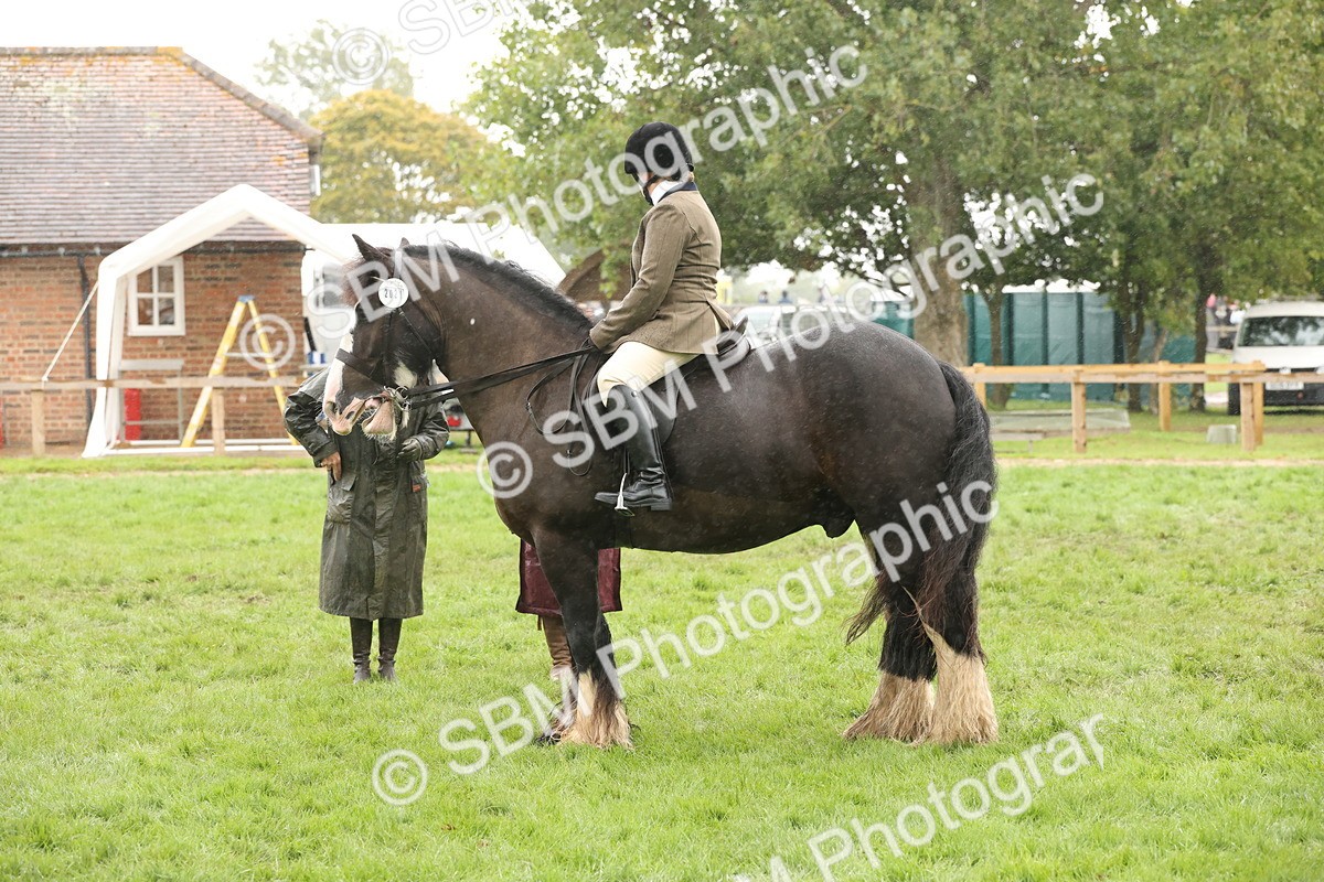 SBM_69836 - S69 - Show Cob Ridden
