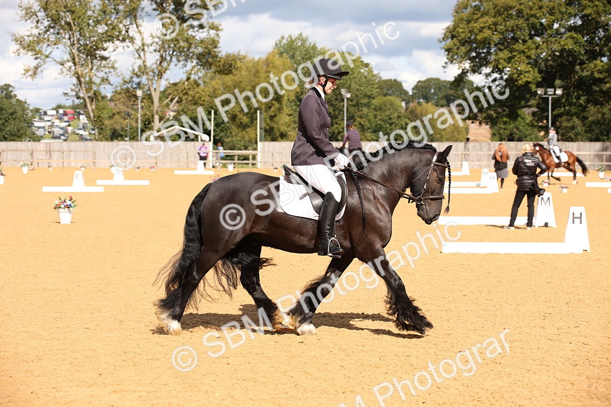 SBM_06720 - D8 Small Tour Championship Prelim 7