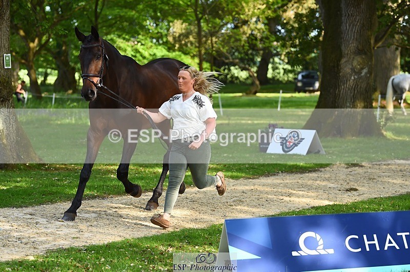 230524-171956-01441 - 178-RIDIRE_DORCHA-Lucy_Stimson-WEDTrotUp+DR