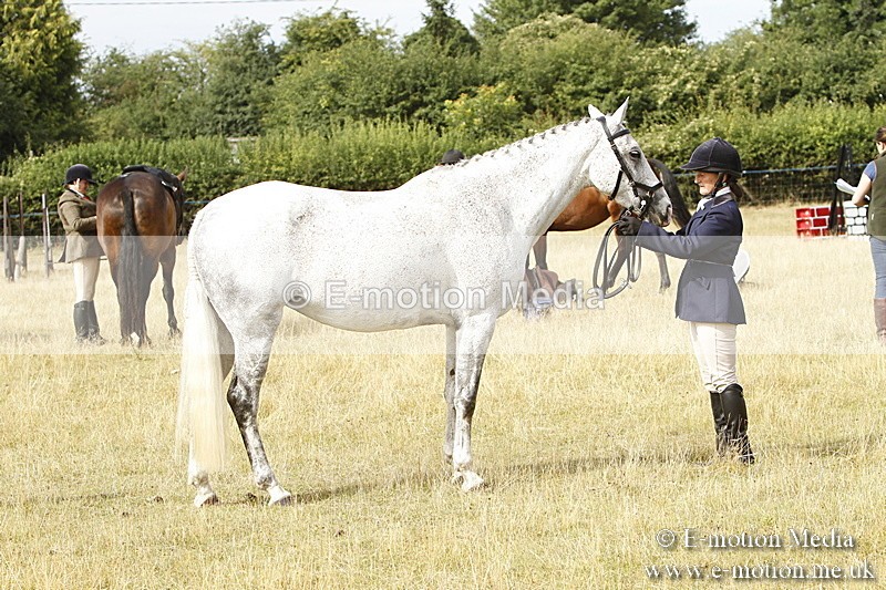 _BS_0520 - BVRC Show 2018 Ring 3