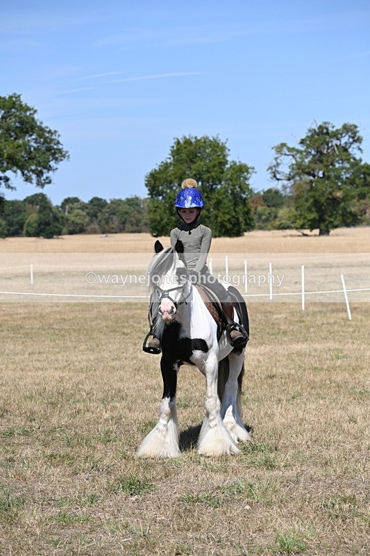 WJ6_9049 - Class 38 Ridden Riding Horse/Pony