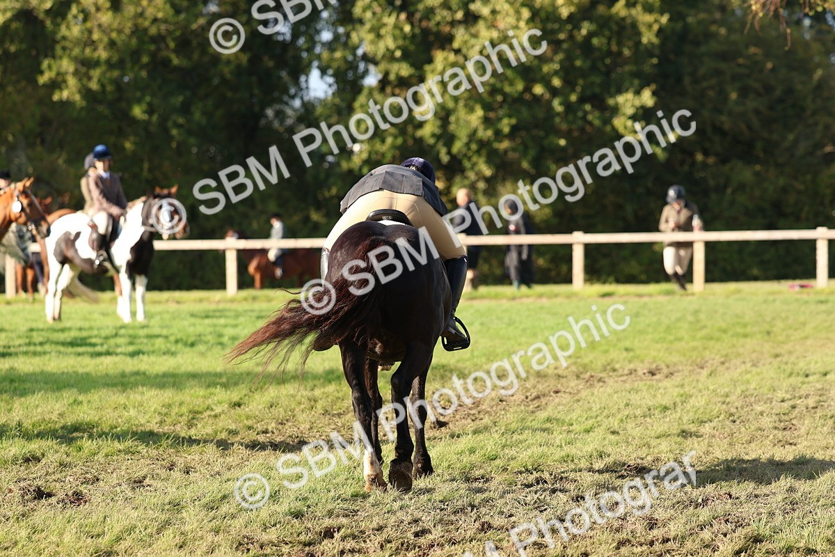 SBM_52530 - S13 - Pony Club Pony