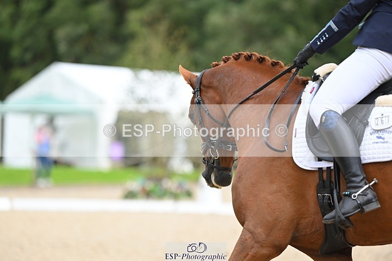 230813-151643-08160 - Cls 14 Medium Silver Start to 16.25 break