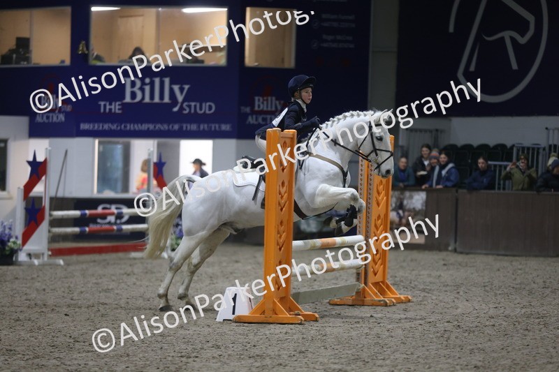 20260125-4812 - Class 5 - 80cm