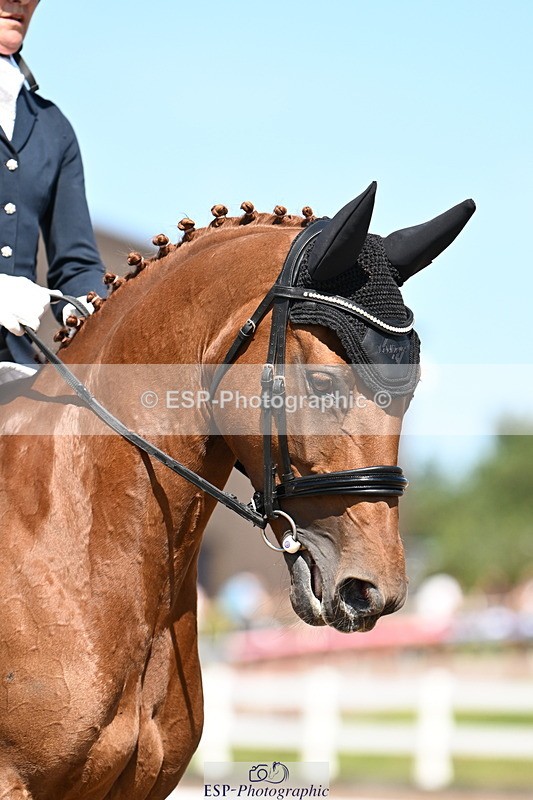 240816A-143056-05623 - 300-Andrea.Kennedy-Ricardo.Red