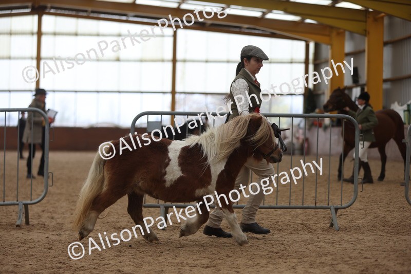 20251109-0452 - Championship