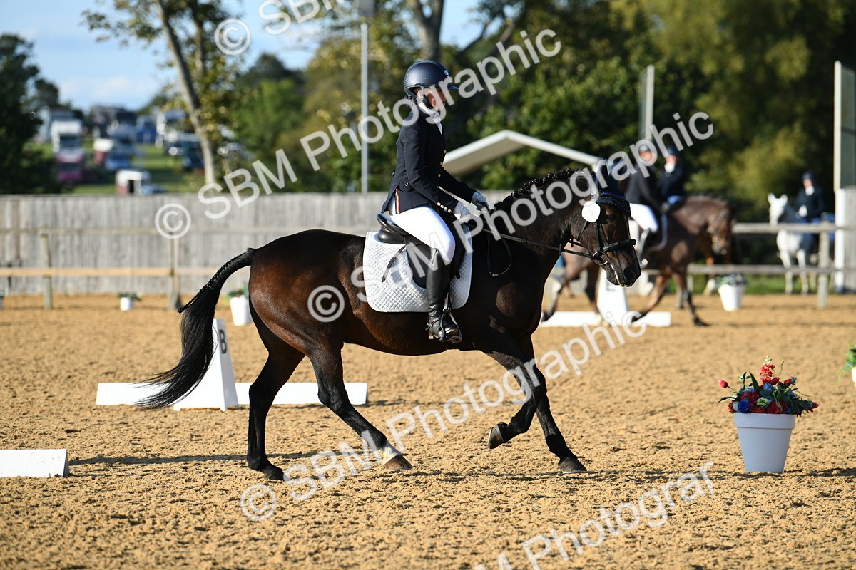 SBM_30779 - D16 - Small Tour Championship - Novice 28