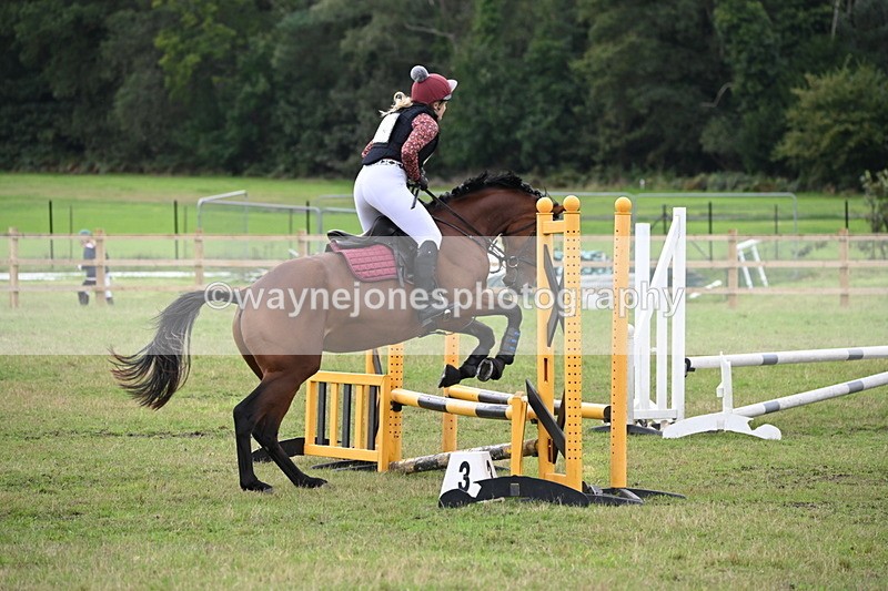 WJ6_1333 - 60cm Time 11:51 to 12:10