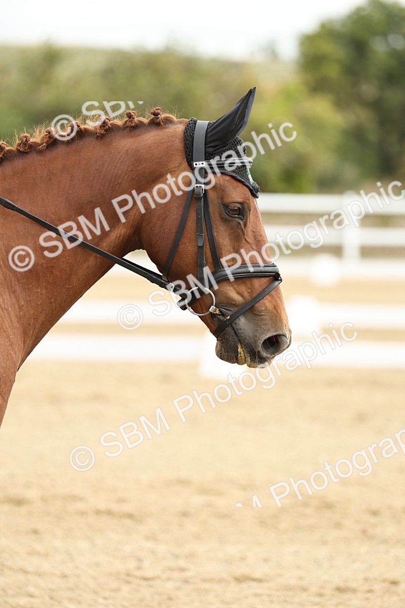 SBM_006908 - Class 21 - Medium 5 Bronze - 10.04-10.52